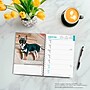 2026 BrownTrout Chihuahuas 6.5" x 7.75" Weekly Planner (9798330702930)~#|#~8B99DE27-24FD-4BBB-9180B7B9CE293996_sc7