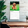 2026 BrownTrout Rhodesian Ridgebacks 12" x 12" Monthly Wall Calendar (9798330705337)~#|#~8BA9ADAF-81BA-4FC0-BB8A332011496CE3_sc7