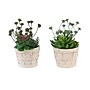 Monarch Specialties Inc. 9" Artificial Succulent Plant in Pot, 2/Set (I 9365)~#|#~8BD01400-05EA-4A12-A0DB9158BE81A9A1_sc7