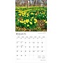 2026 BrownTrout Illinois Wild & Scenic 12" x 12" Monthly Wall Calendar (9798330703845)~#|#~8BF72E35-B92D-41D1-A91C0C84C248504D_sc7