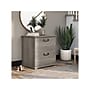 Bush Furniture Homestead 2-Drawer Lateral File Cabinet, Letter/Legal Size, Lockable, Driftwood Gray (HOF129DG-Z)~#|#~8C0D8808-ED32-4A2D-98F1608FC302B1CB_sc7
