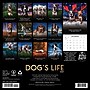 2027 Willow Creek Dog's Life  12" x 12" Monthly Wall Calendar (60049)~#|#~8C1E66DE-59F7-4CB1-960AAABF057575EE_sc7