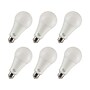 Viribright 17-Watts Daylight LED General-Purpose Bulb, 6/Box (450118-ES)~#|#~8C24C007-EA71-455B-97C97A2CAA58CC79_sc7