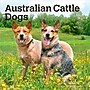 2026 BrownTrout Australian Cattle Dogs 7" x 7" Monthly Wall Calendar (9798330702183)~#|#~8C2518A5-88E6-4BFD-8EF1C4EFFD4BF126_sc7