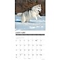2027 Willow Creek Siberian Huskies 12" x 12" Monthly Wall Calendar, Assorted Colors (62333)~#|#~8C2C3EBB-19D6-42AE-AA3A512BEE60AF2C_sc7