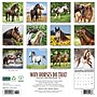 2026 Willow Creek Why Horses Do That 12" x 12" Monthly Wall Calendar (53263)~#|#~8C38565E-8CE3-495A-85987E190DF05C32_sc7