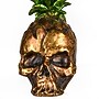 National Tree Company 14" Halloween Pineapple Skull Tabletop Decor (HH75-HP203417Z1)~#|#~8C59802B-BBC7-42A4-BF3609FCE8300FAD_sc7