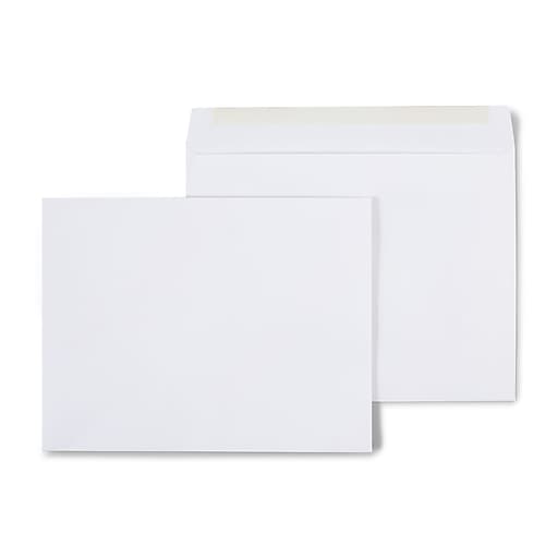 500 10 x 13 Envelopes Basic Booklet Open Side 100 Bonus 