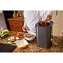 Nagual NA2 0.66 Gallon Indoor Kitchen Smart Electric Composter, Gray (B0D22PN4ZJ)~#|#~8C82868C-F3BF-4BCB-BC65D1127BE1C5CC_sc7