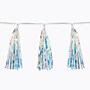 Beistle Tassel Garland, Iridescent (53417)~#|#~8C83E1CF-98C0-4F22-B4608B4ABD1E0031_sc7