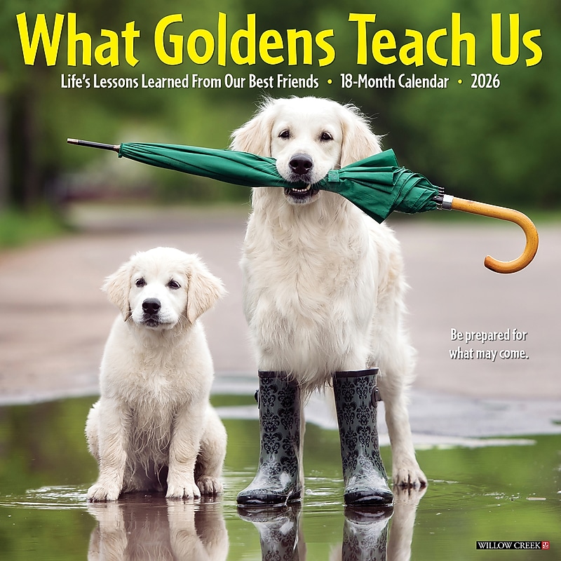 2026 Willow Creek What Goldens Teach Us 12" x 12" Monthly Wall Calendar (53188) image 1