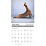 2026 Willow Creek Llama Yoga 12" x 12" Monthly Wall Calendar (55489)~#|#~8C930942-B0FF-4B31-8AEA50D1FBE5C833_sc7