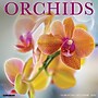 2026 Willow Creek Orchids 12" x 12" Monthly Wall Calendar (56035)~#|#~8C9B9C23-FA6C-4F10-93A78061D3BE6C8D_sc7