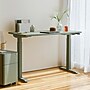 Branch Duo 48"W Electric Adjustable Standing Desk, Sage (10-10-05-71)~#|#~8C9E807B-0E6E-46C6-8164A3B81129F06F_sc7