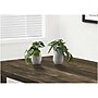 Monarch Specialties Inc. Alocasias in Pots, 2/Pack (I 9582)~#|#~8CA1C0C6-7B28-4D83-BC5AD1B030F656DA_sc7