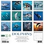 2027 Willow Creek Dolphins  12" x 12" Monthly Wall Calendar (60056)~#|#~8CBE04D0-B0FE-489E-85421B79C1B887A8_sc7