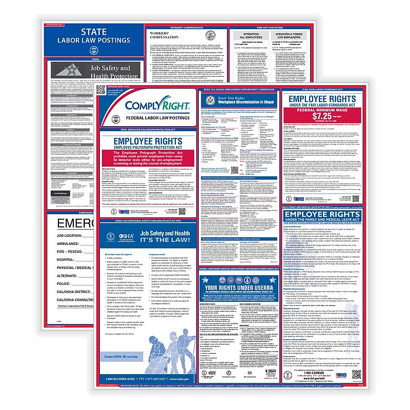 ComplyRight Federal and State (English) Labor Law 1-Year Poster Service, Texas (U1200CTX) image 1