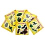 Insect Lore Life Cycle Figurines Set, 24 Pieces (ILP2205)~#|#~8D371B0B-34DF-42BB-B0E85F6DED8141D1_sc7