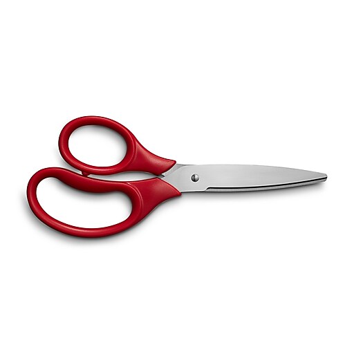 Staples 5 Kids Pointed Tip Stainless Steel Scissors, Straight Handle,  Right & Left Handed, 2/Pack (TR55054)