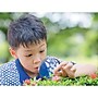 Mojo STEAM is Everything Wooden Puzzle Set, 7/Set (MJ-345406)~#|#~8D5BAC8C-7A96-4191-AA6BA1D8A9DBEC42_sc7