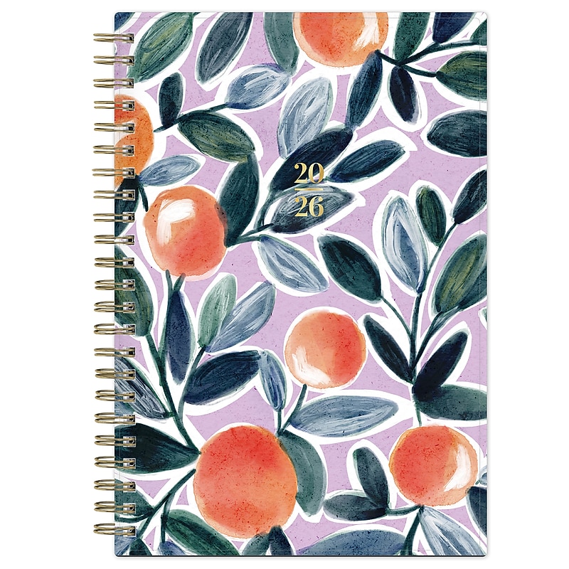 2026 Blue Sky Buds 11" x 8.5"  Weekly & Monthly Personal Organizer, Plastic Cover (158057) image 1