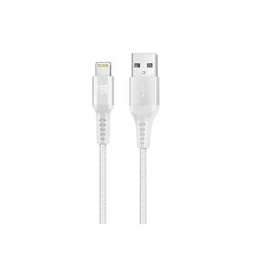 LAX Gadgets Lightning to USB-A Charging Cable, 10 (MFI10FTSLV