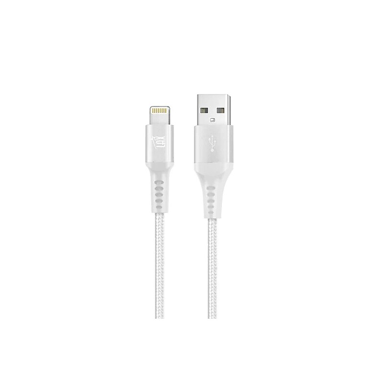 LAX Gadgets Lightning to USB-A Charging Cable, 10 ft. (MFI10FTSLV) image 1