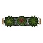 Monarch Specialties Inc. 6" Artificial Succulent in Pot, 3/Set (I 9372)~#|#~8D7C8EBE-FE37-4DE4-A062DDAEAA7F1377_sc7