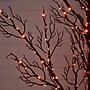 Nearly Natural Pre-Lit Halloween Minimalist Twig Artificial Fall Tree, 5' (T5161)~#|#~8D7E8897-1D9C-443D-96B27FE5B4D484CC_sc7