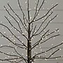 Nearly Natural Pre-Lit Artifiical Halloween Black Twig Tree, 2' (T5203)~#|#~8D865A23-C57E-4DB6-B49C5C097437F401_sc7