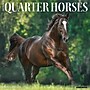 2027 Willow Creek American Quarter Horses 12" x 12" Monthly Wall Calendar, Assorted Colors (58763)~#|#~8D901439-BF58-4769-AEF77627598DF0ED_sc7