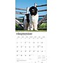 2026 BrownTrout Newfoundlands 12" x 12" Monthly Wall Calendar (9798330704903)~#|#~8D9F0295-431A-4D34-985E90F725C16602_sc7