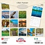 2026 BrownTrout Ohio Nature 12" x 12" Monthly Wall Calendar (9798330704941)~#|#~8DA28C55-DA6D-4DDE-AB75DF5DFDE874EA_sc7