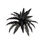 Nearly Natural 19" Artificial Halloween Black Boston Fern, 6/Set (P2199-S6)~#|#~8DABA1AB-939F-4FAE-B9BFF78774F500E3_sc7