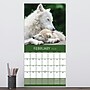 2026 TF Publishing Wolves 12" x 12" Monthly Wall Calendar, Multi (26-1035)~#|#~8DBE5BBD-FD3B-4947-BFCE74BB84ABD87A_sc7