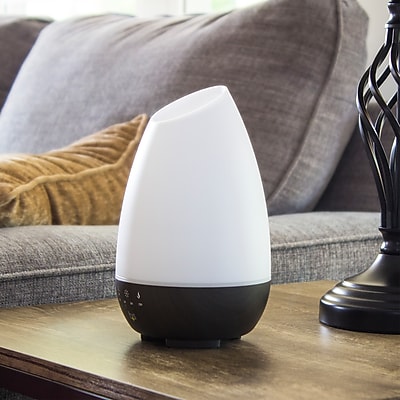 HealthSmart Evaporative Humidifier - Thumbnail 4