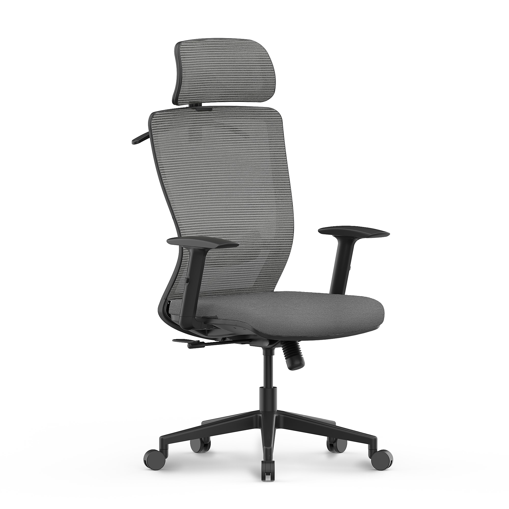 FlexiSpot Ergonomic Mesh Swivel Computer and Desk Chair, Gray (C3G-FM) Sansujyuku sansujyuku.com