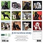 2026 Willow Creek Schnauzers 12" x 12" Monthly Wall Calendar (52686)~#|#~8DD2A9DC-5CC4-4F2C-A159983DD7749F2E_sc7