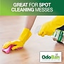 OdoBan Ready-to-Use Luxury Vinyl Floor Cleaner, 32 oz. (9360B93-Q)~#|#~8DD4C734-5ACB-44F5-ACFDFBCC908CC61C_sc7