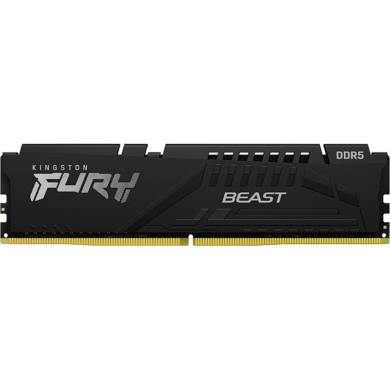 Kingston FURY Beast 8 GB DDR5 SDRAM Memory (KF556C36BBE-8) image 1