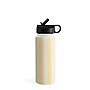 DENY Designs Modern Craft Spring Stripe I by Avenie Stainless Steel Double Wall Insulated Water Bottle, 18 oz. (88747-WBTL05)~#|#~8DECCDAD-5423-406B-8C75C2FA15D41061_sc7