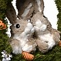 National Tree Company 15" Wreath with Rabbits (RAE-141475-1)~#|#~8DF266A3-2A44-4C02-8537DCFA7A26BF04_sc7