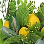 National Tree Company 21" Leafy Greens and Lemons Wall Basket (DS69-Y21G5588-1)~#|#~8E0FBD04-006F-4F21-99A578F65D662962_sc7