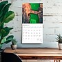 2026 BrownTrout Chicago 12" x 12" Monthly Wall Calendar (9798330702848)~#|#~8E11E99A-6A30-4381-8075591EF9F97DCC_sc7