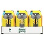 Poland Spring Sparkling Water, Lively Lemon, 16.9 oz. Bottles, 24/Carton (12349569/100965)~#|#~8E17280E-98C8-4EE8-BB37B180774817DE_sc7