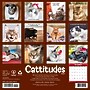 2027 Willow Creek Cattitudes 12" x 12" Monthly Wall Calendar, Assorted Colors (59609)~#|#~8E1A256A-DF42-4EE5-A9CA244FC78C3D93_sc7