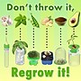 Be Amazing Science to the Max Regrow Science Lab (BAT2349)~#|#~8E1FA5A5-99B1-49F8-844E7BF57BD16700_sc7