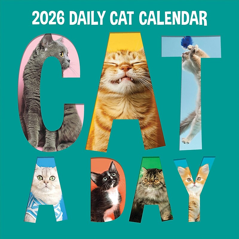 2026 TF Publishing Cat-A-Day 12" x 12" Monthly Wall Calendar, Multi (26-1002) image 1