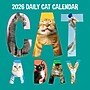 2026 TF Publishing Cat-A-Day 12" x 12" Monthly Wall Calendar, Multi (26-1002)~#|#~8E2265A1-8857-4F28-A52F2462A4A82829_sc7