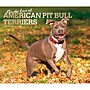 2027 BrownTrout For the Love of American Pit Bull Terriers 14" x 12" Monthly Wall Calendar, Assorted Colors (9798330714759)~#|#~8E2C7A72-559B-43C0-9B8D23F64E86823A_sc7